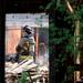 A firefighter watches as structure is burn in flames during a training exercise and controlled burn in 6700 block of Warner Rd. in Pittsfield Township on Thursday, May 9, 2013. Melanie Maxwell I AnnArbor.com
